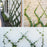 Wire Trellis Kits for Climbing Plants, Vines and Green Wall