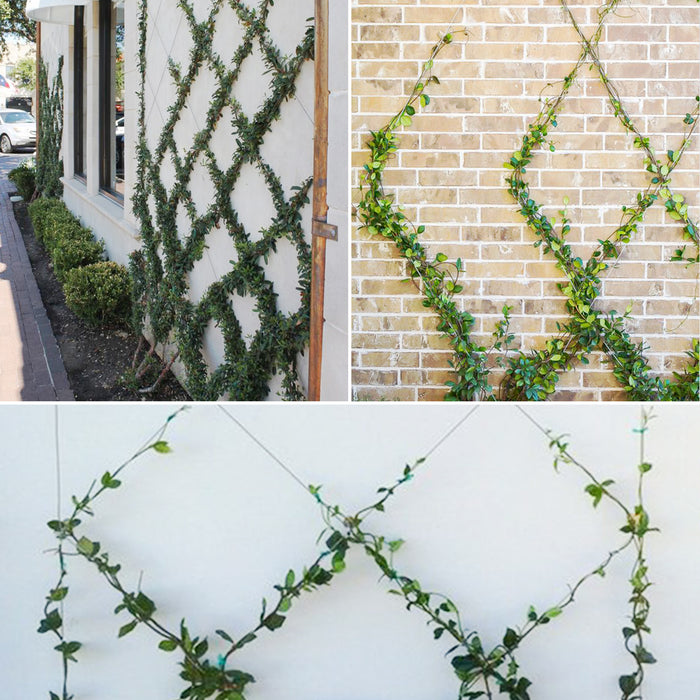 wire plant trellis system Wire Trellis Kits for Climbing Plants, Vines and Green Wall
